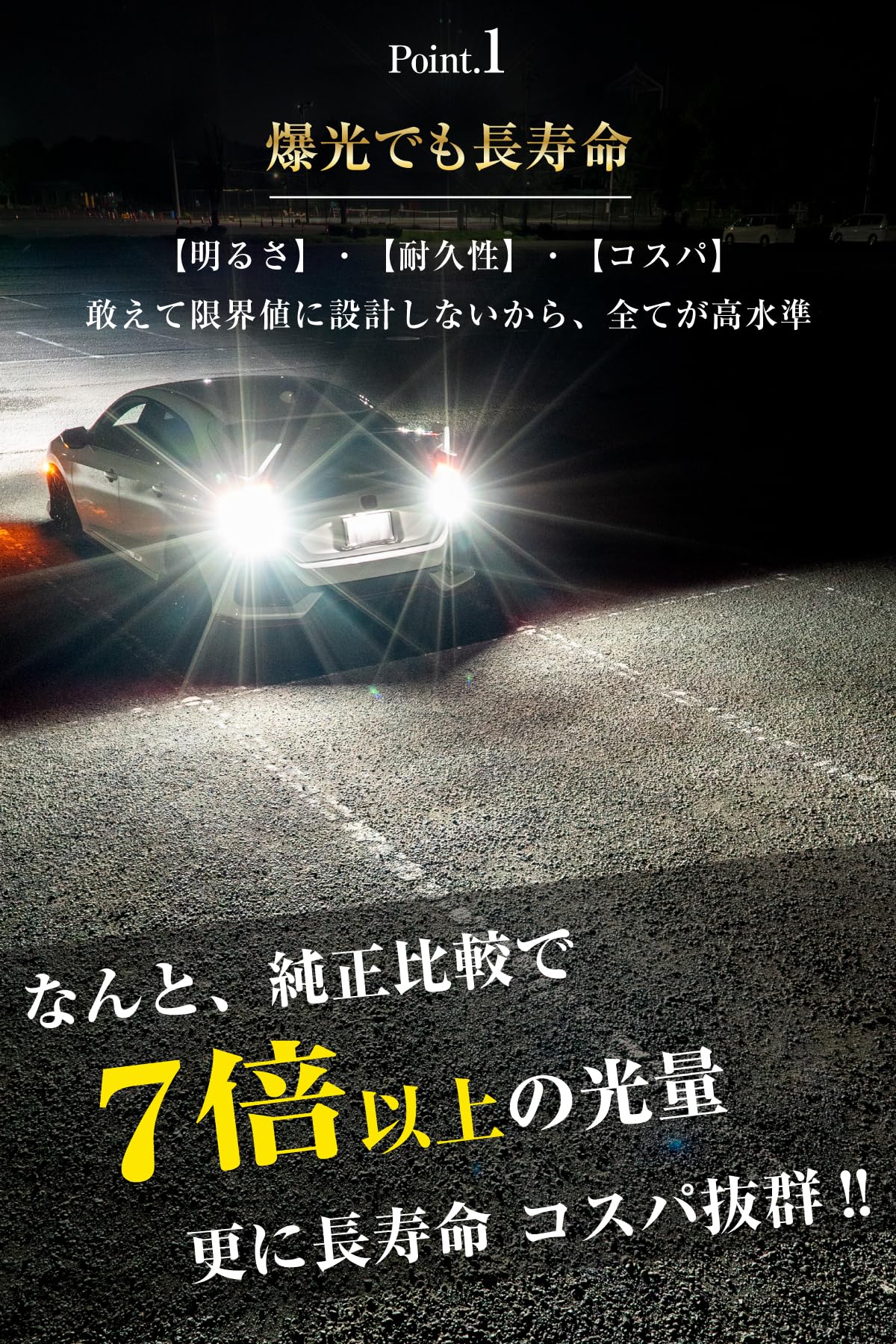 Amazon.co.jp: ぶーぶーマテリアル 【所ジョージの世田谷ベース掲載